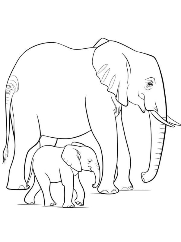 tô màu con voi 7