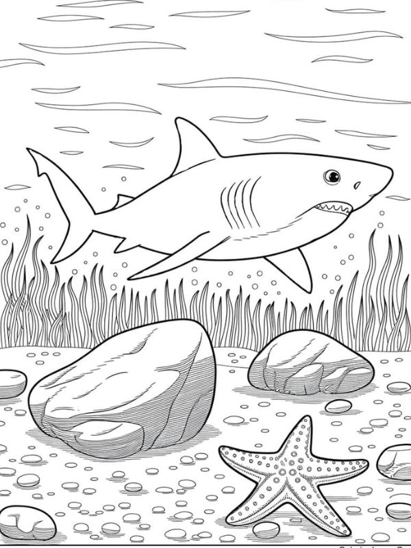 tô màu hình con cá mập