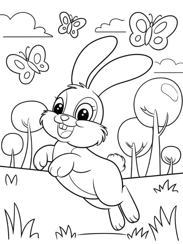 tô màu hình con thỏ