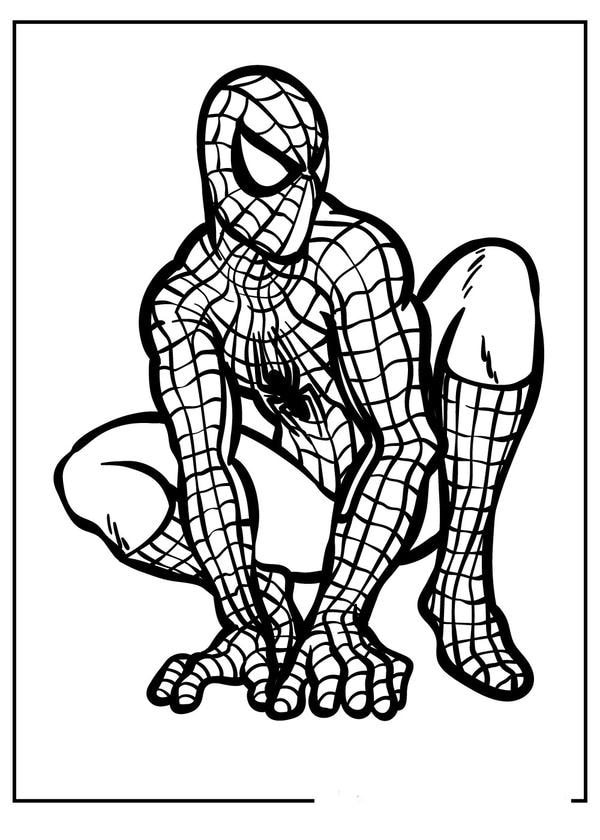 tô màu người nhện 10