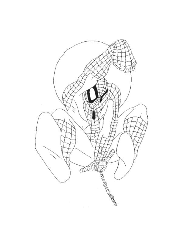 tô màu người nhện 2