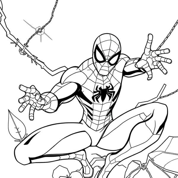 tô màu người nhện 25