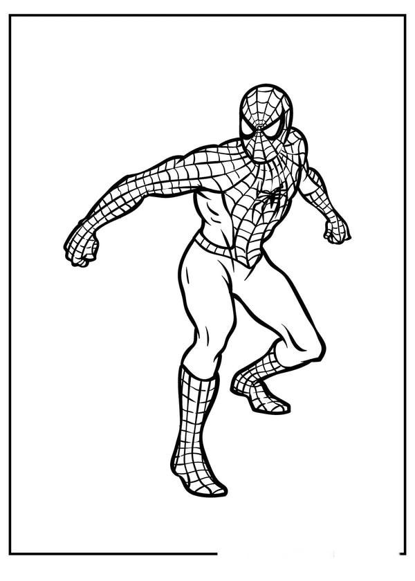 tô màu người nhện 4