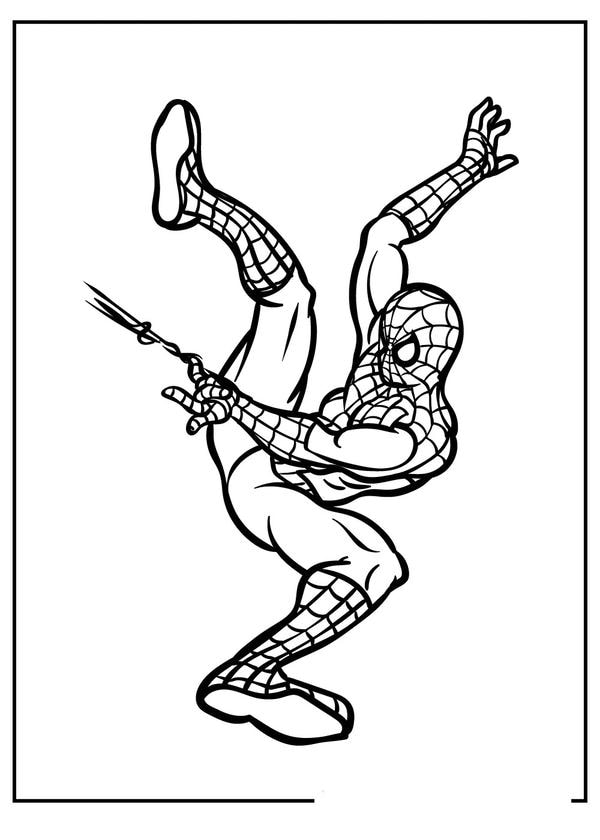 tô màu người nhện 5