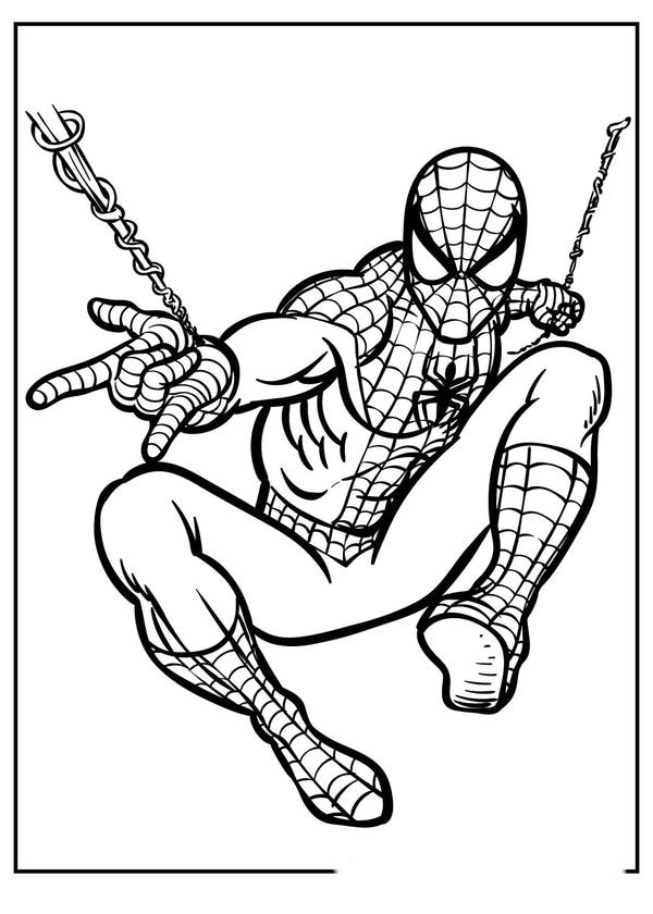 tô màu người nhện 6