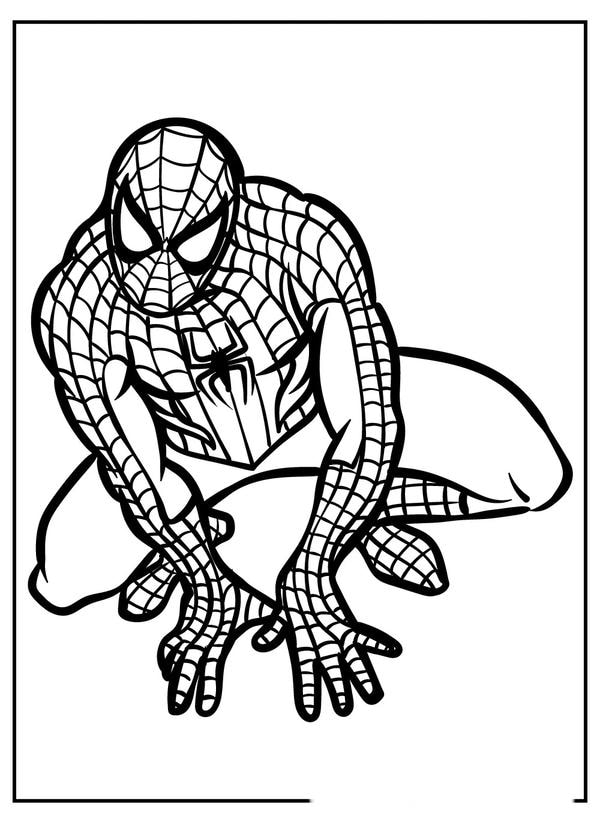 tô màu người nhện 7