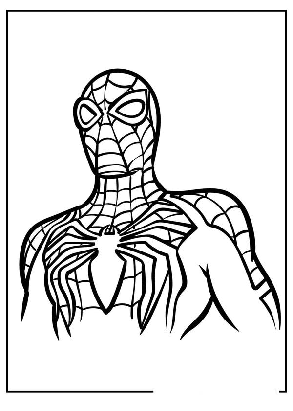 tô màu người nhện 8