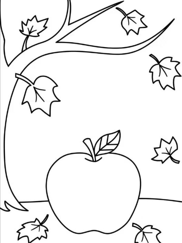 tô màu quả táo 35