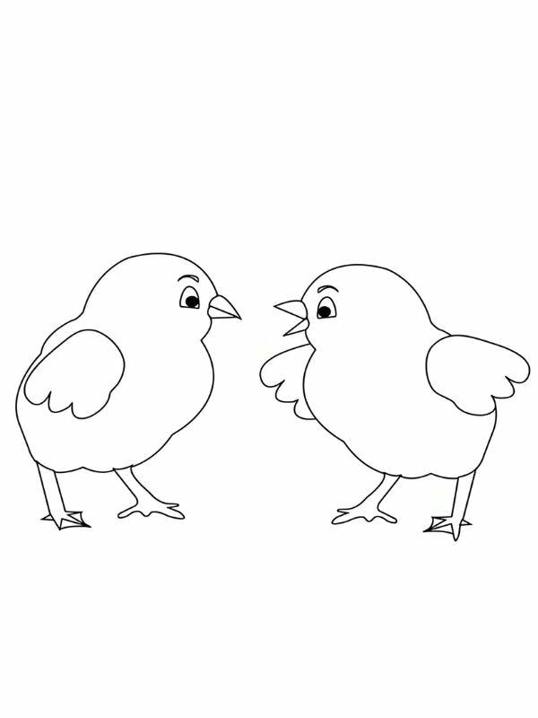 tranh tô màu con gà con 11