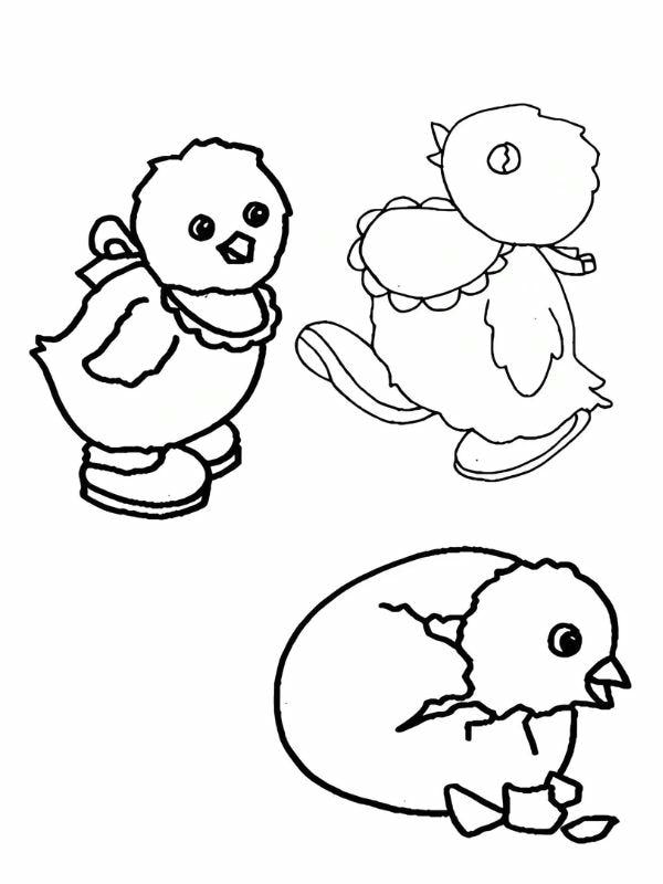tranh tô màu con gà con 19