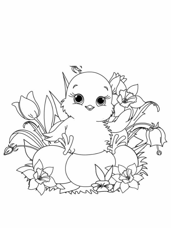 tranh tô màu con gà con 3