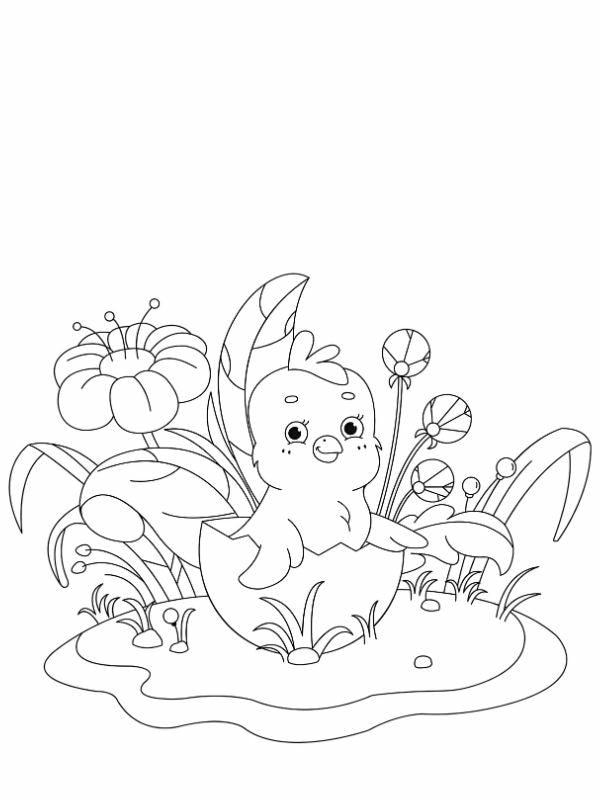 tranh tô màu con gà con 7