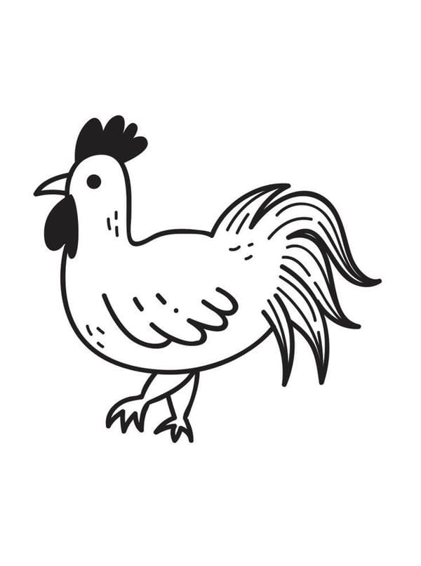 tranh tô màu con gà mái 2