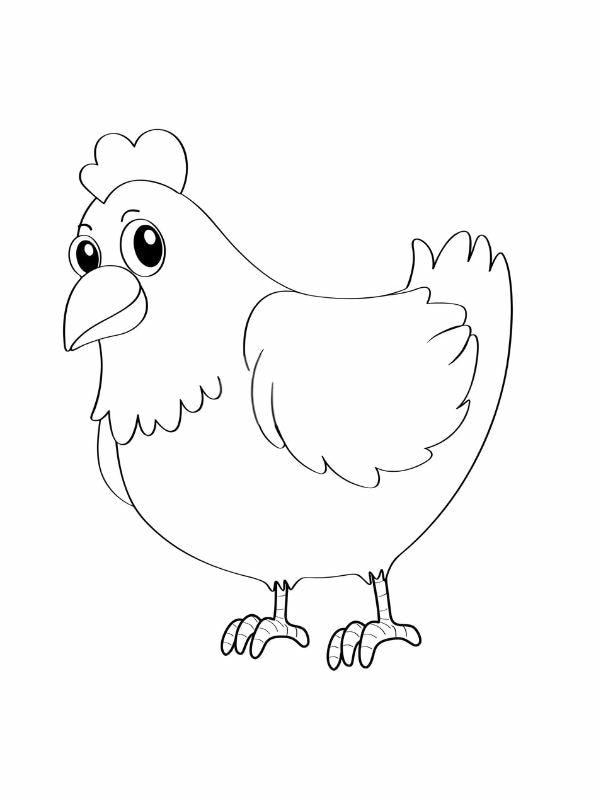 tranh tô màu con gà mái 2