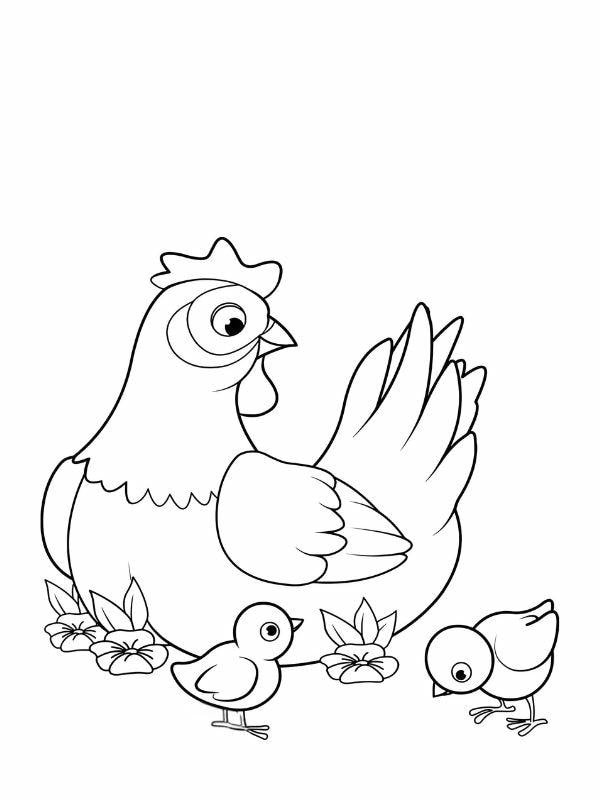 tranh tô màu con gà mái 24