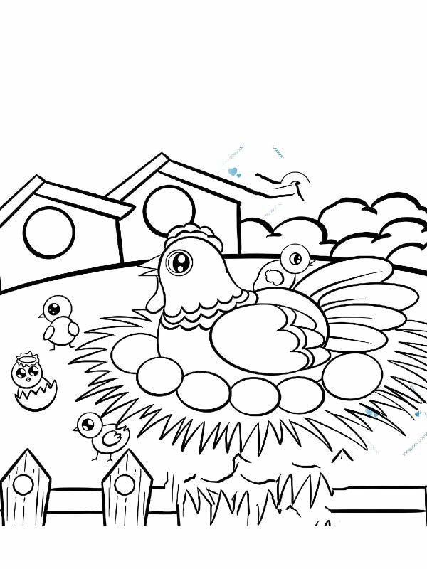 tranh tô màu con gà mái 4