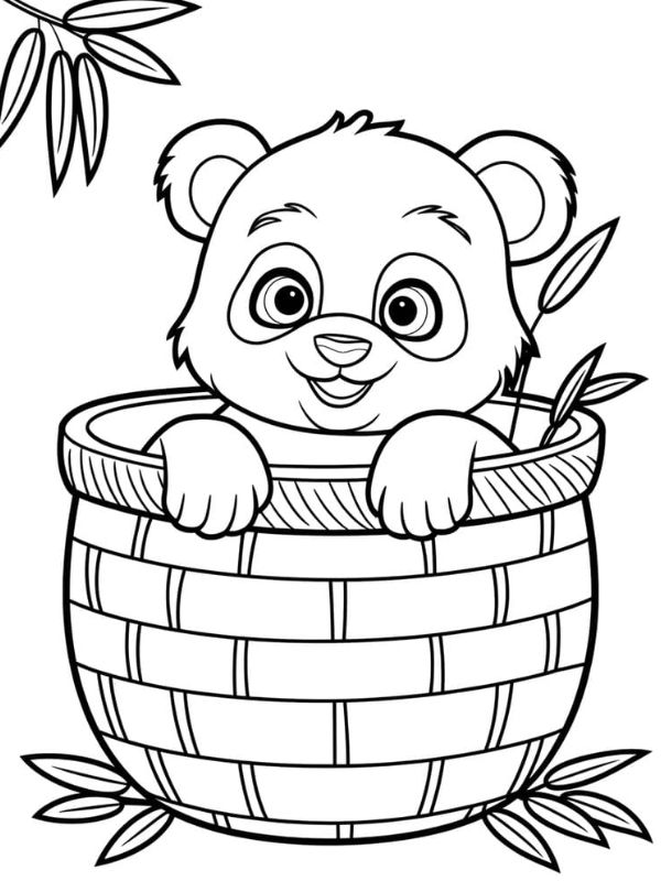 tranh tô màu con gấu đẹp