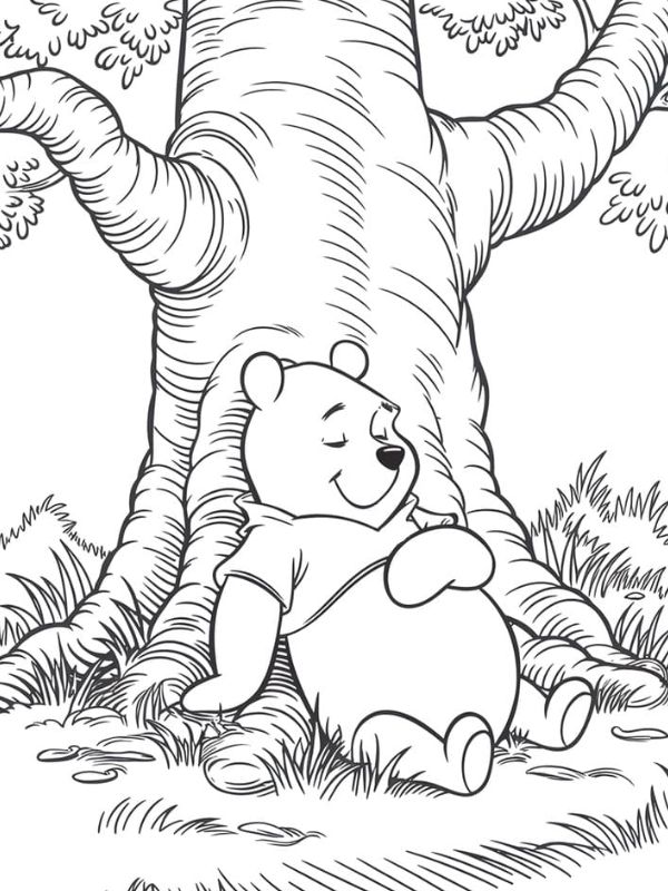 tranh tô màu con gấu