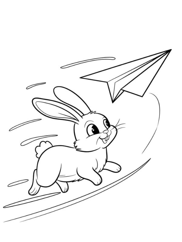 tranh tô màu con thỏ 2