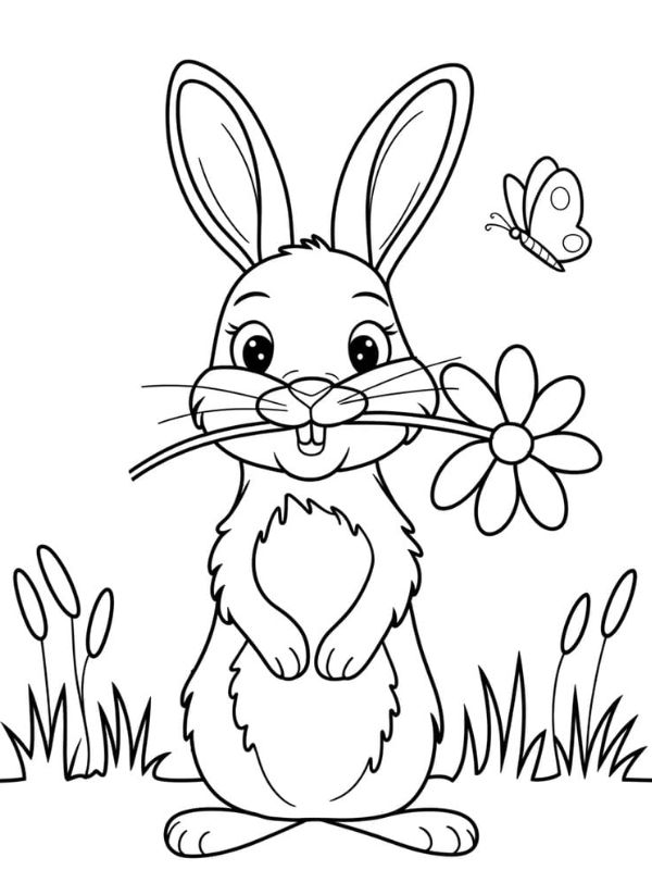 tranh tô màu con thỏ 3
