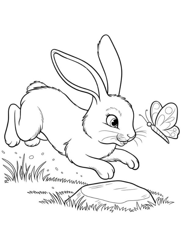 tranh tô màu con thỏ 6