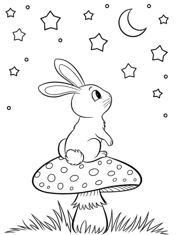 tranh tô màu con thỏ dễ thương