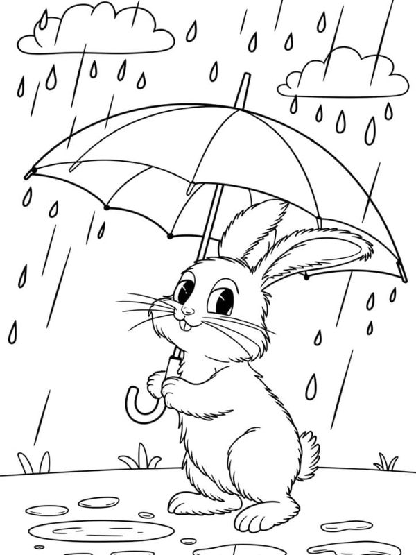 tranh tô màu hình con thỏ cho bé