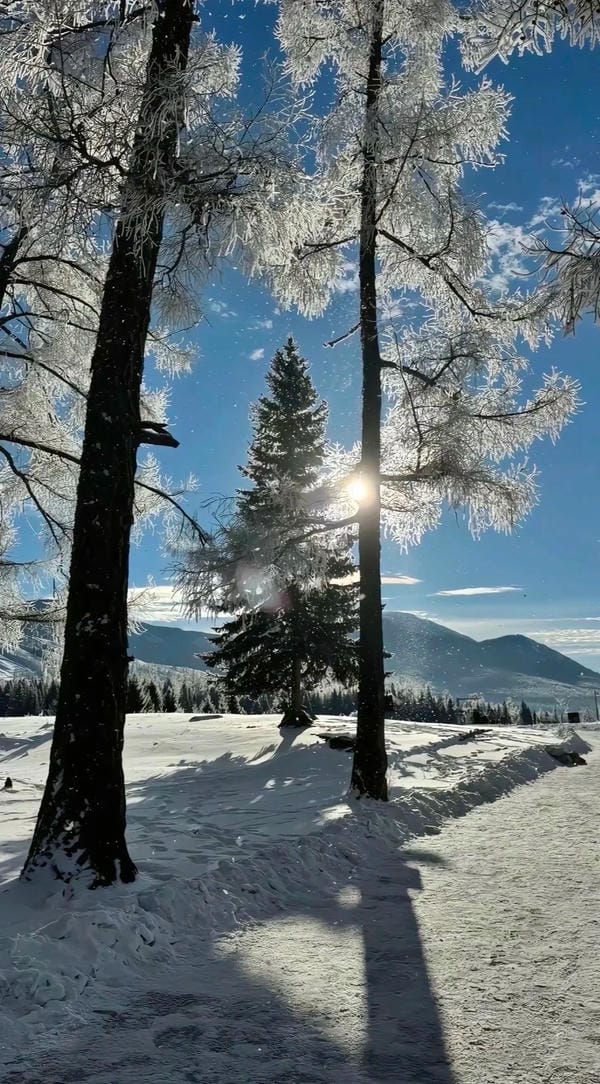 Ảnh bầu trời chill 14