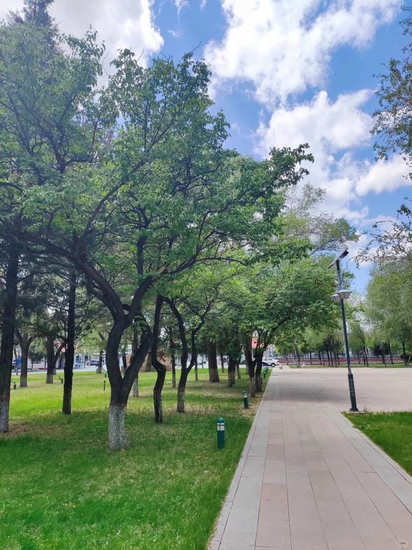 Ảnh bầu trời chill 25