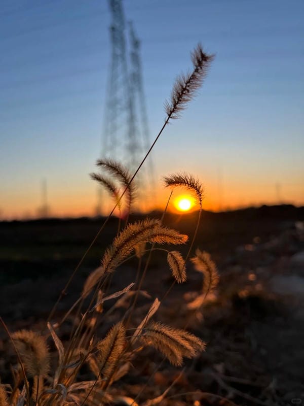 Ảnh bầu trời chill 29