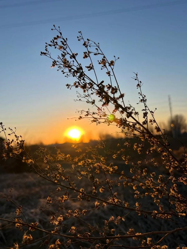 Ảnh bầu trời chill 30