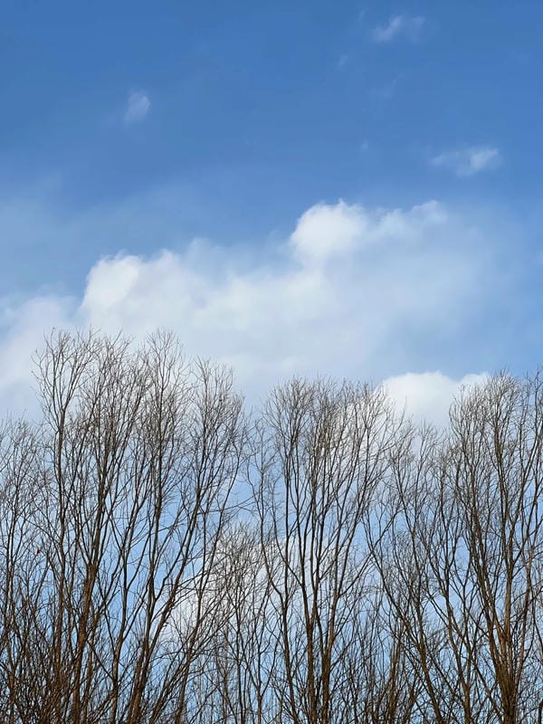 Ảnh bầu trời chill 32