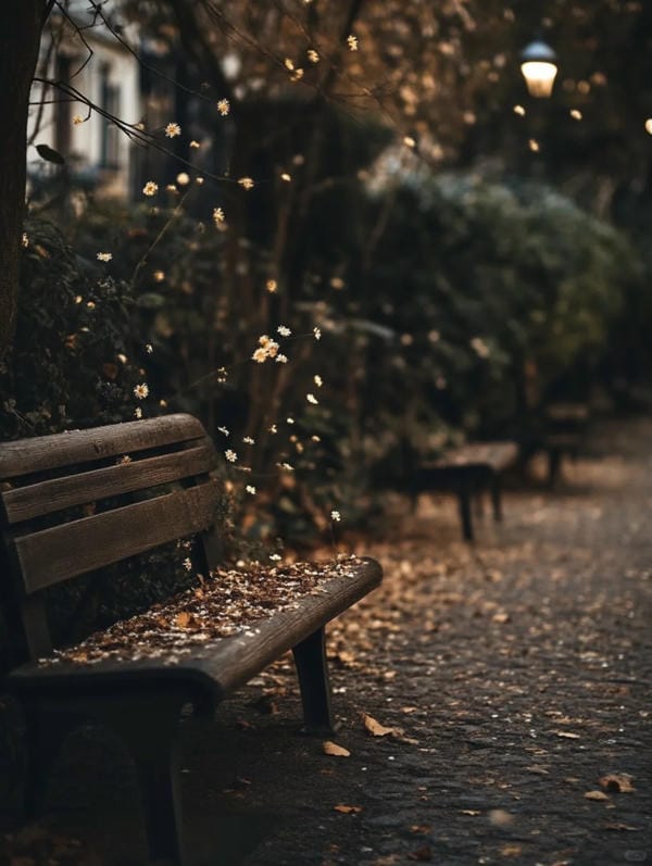 Hình ảnh chill đường phố (12)