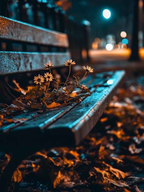 Hình ảnh chill đường phố (13)