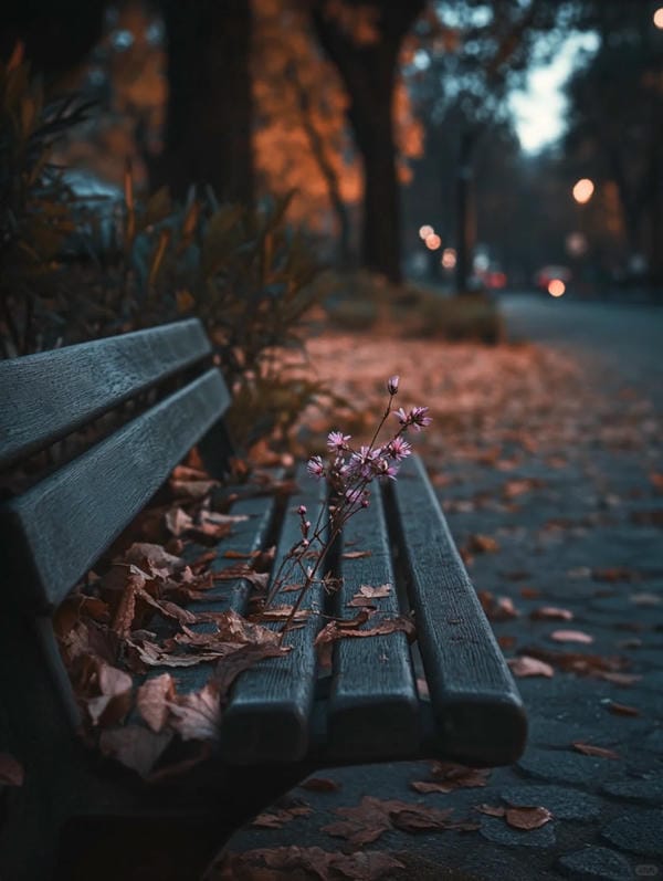 Hình ảnh chill đường phố (14)