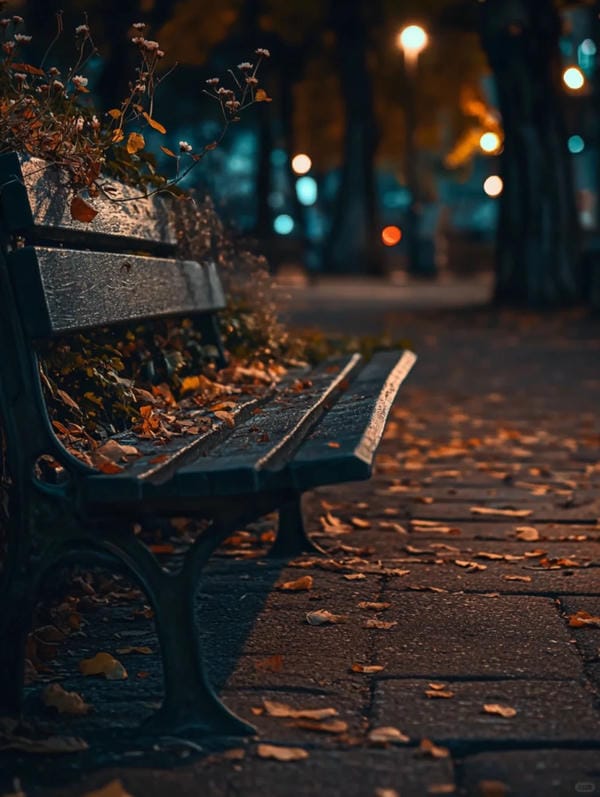 Hình ảnh chill đường phố (15)