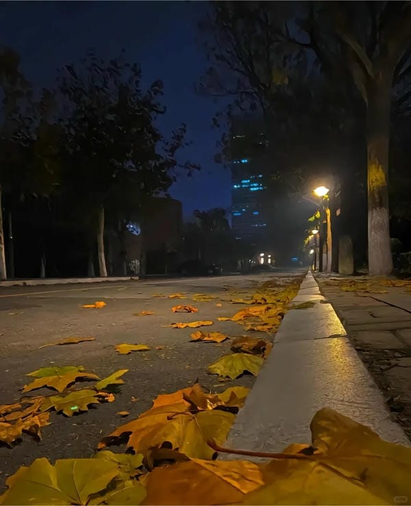 Hình ảnh chill đường phố (16)