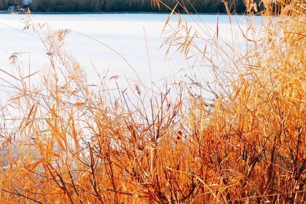 Hình ảnh chill đường phố (23)