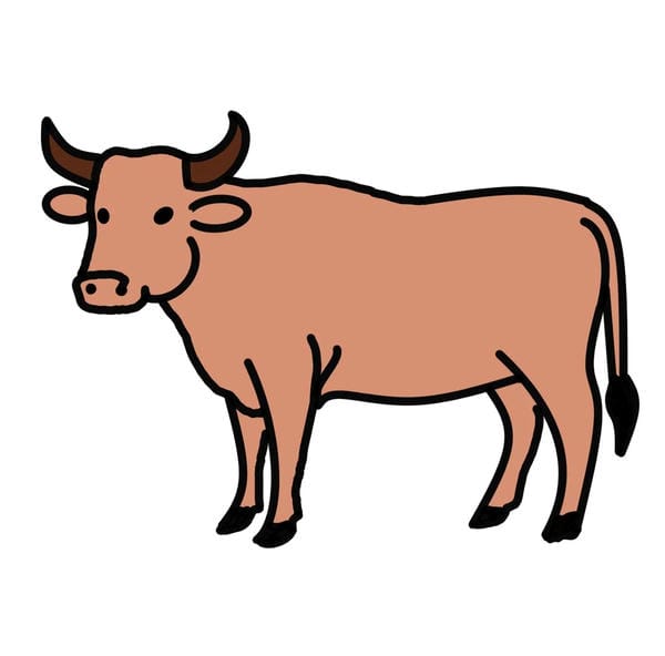 Hình ảnh con bò 1