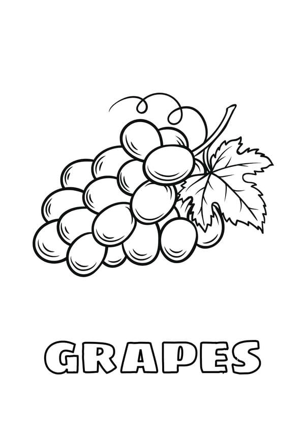 Tranh tô màu các loại quả 30