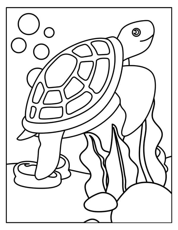 Tranh tô màu con rùa 14