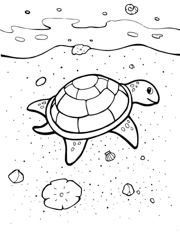 Tranh tô màu con rùa 15