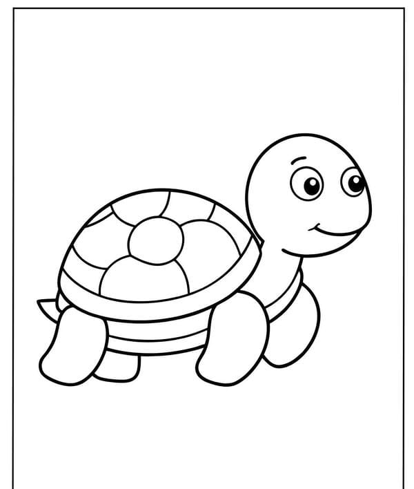 Tranh tô màu con rùa 2