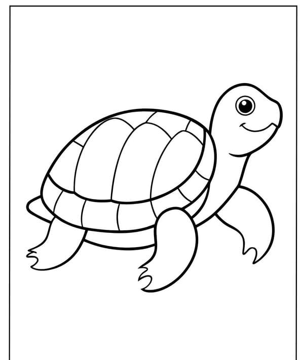 Tranh tô màu con rùa 6