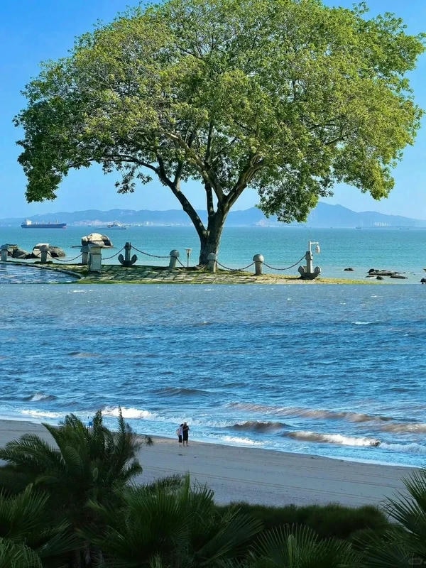 ảnh biển chill 14