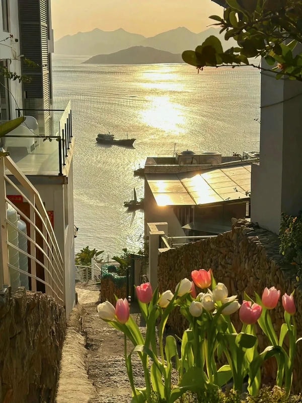 ảnh biển chill 16