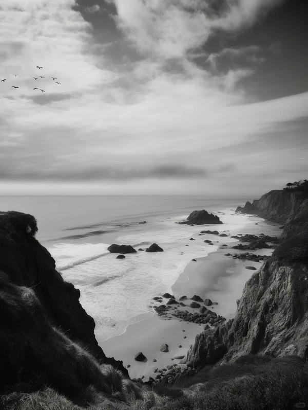 ảnh biển đen trắng 12