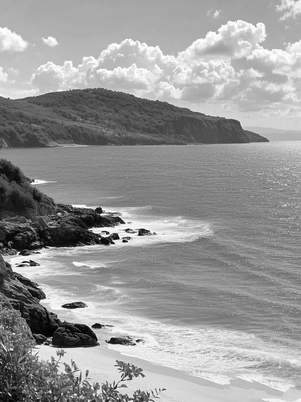 ảnh biển đen trắng 23