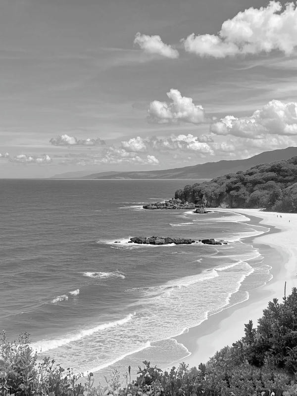 ảnh biển đen trắng 24