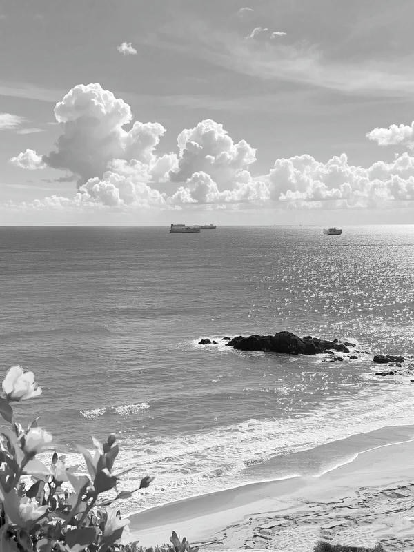 ảnh biển đen trắng 26